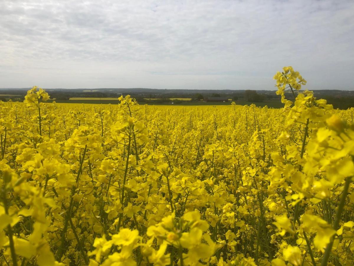 Rosloevs Gard Vackert Boende I En Naturskoen Miljoe. Flyinge Dış mekan fotoğraf
