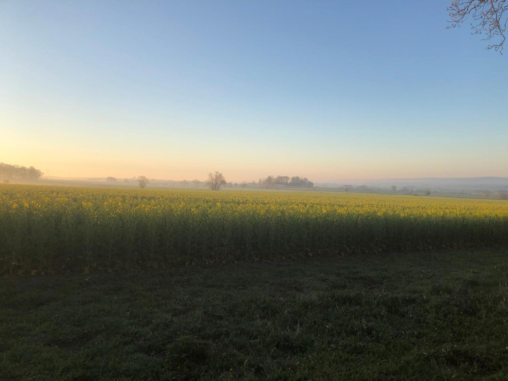 Rosloevs Gard Vackert Boende I En Naturskoen Miljoe. Flyinge Dış mekan fotoğraf